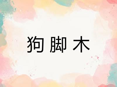 狗脚木