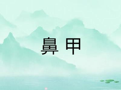 鼻甲