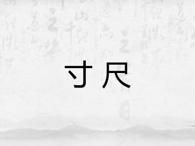寸尺