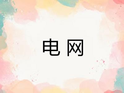 电网