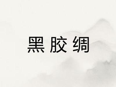 黑胶绸