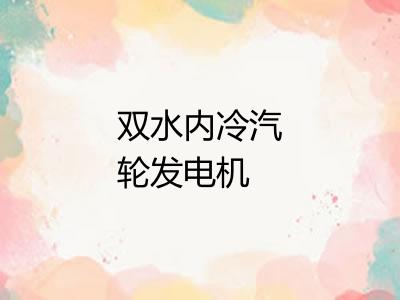 双水内冷汽轮发电机 双水内冷汽轮发电机