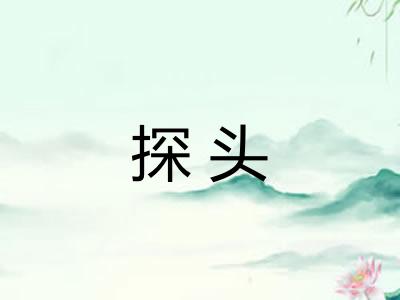 探头