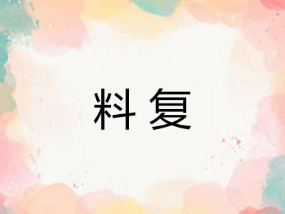 料复
