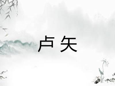 卢矢