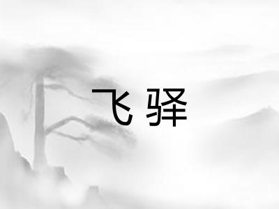 飞驿