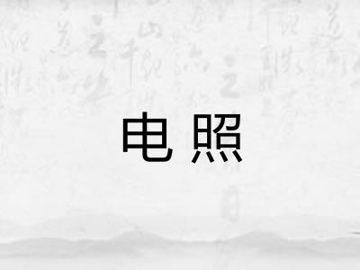 电照