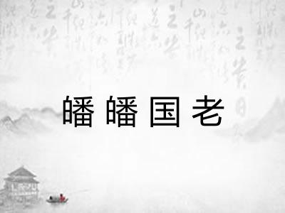 皤皤国老