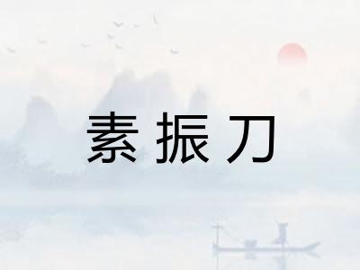 素振刀
