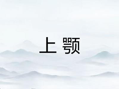 上颚