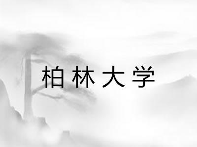 柏林大学