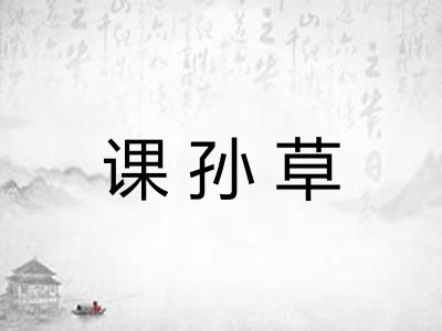 课孙草