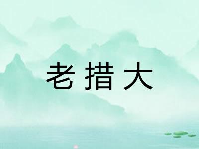 老措大