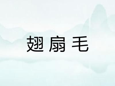 翅扇毛 翅扇毛