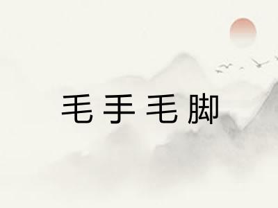 毛手毛脚 毛手毛脚