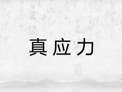 真应力