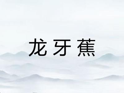 龙牙蕉 龙牙蕉
