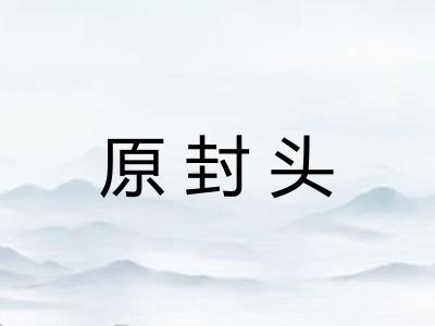 原封头