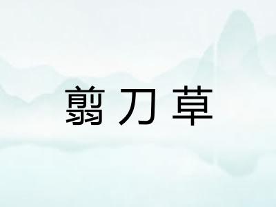 翦刀草