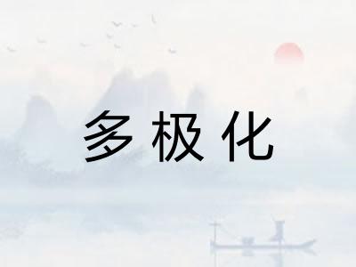 多极化 多极化