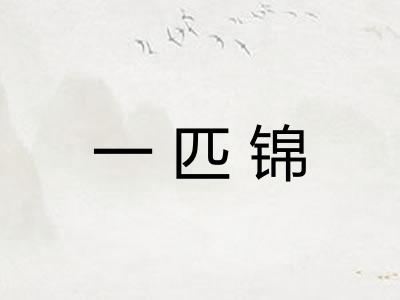 一匹锦