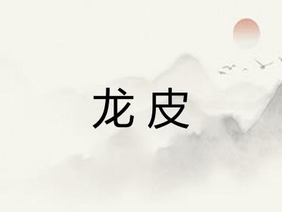 龙皮