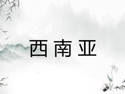西南亚