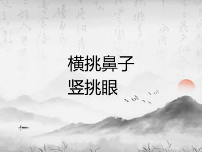 横挑鼻子竖挑眼