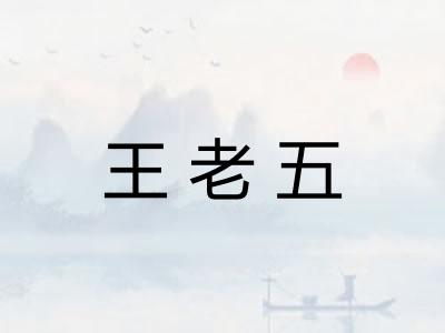 王老五