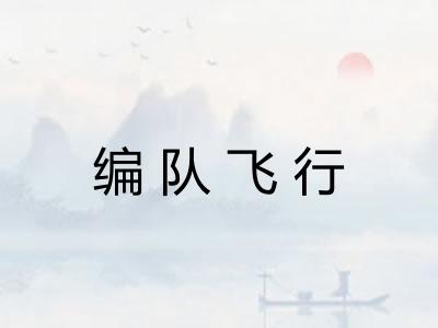 编队飞行