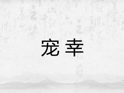 宠幸 宠幸