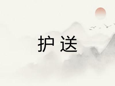 护送 护送