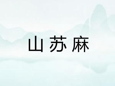 山苏麻