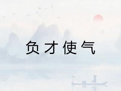 负才使气