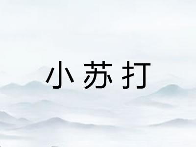 小苏打