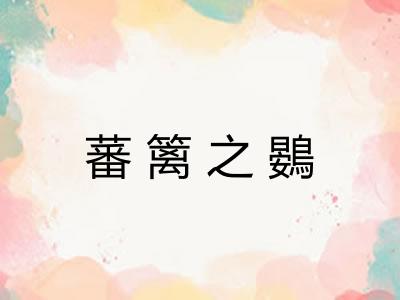 蕃篱之鷃
