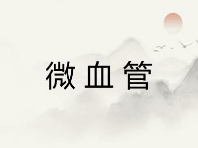 微血管 微血管