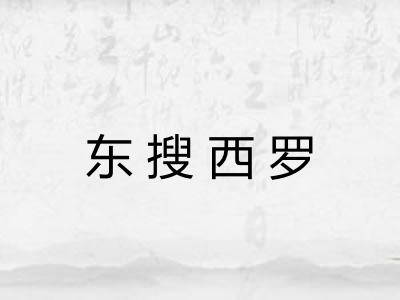 东搜西罗 东搜西罗