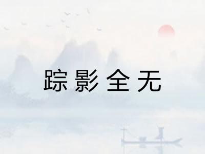踪影全无