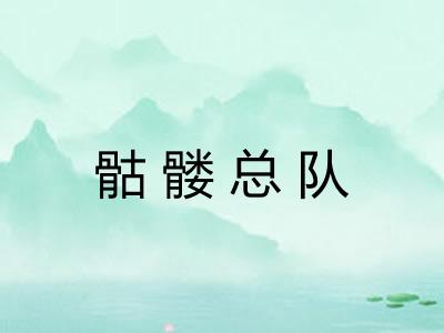 骷髅总队