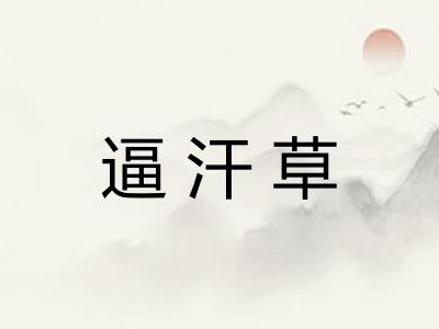 逼汗草