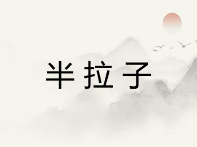 半拉子