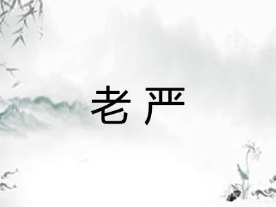 老严