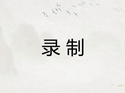 录制