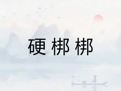 硬梆梆 硬梆梆