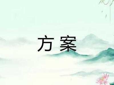 方案 方案