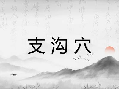 支沟穴