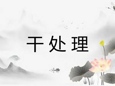 干处理 干处理