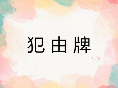 犯由牌