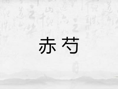赤芍